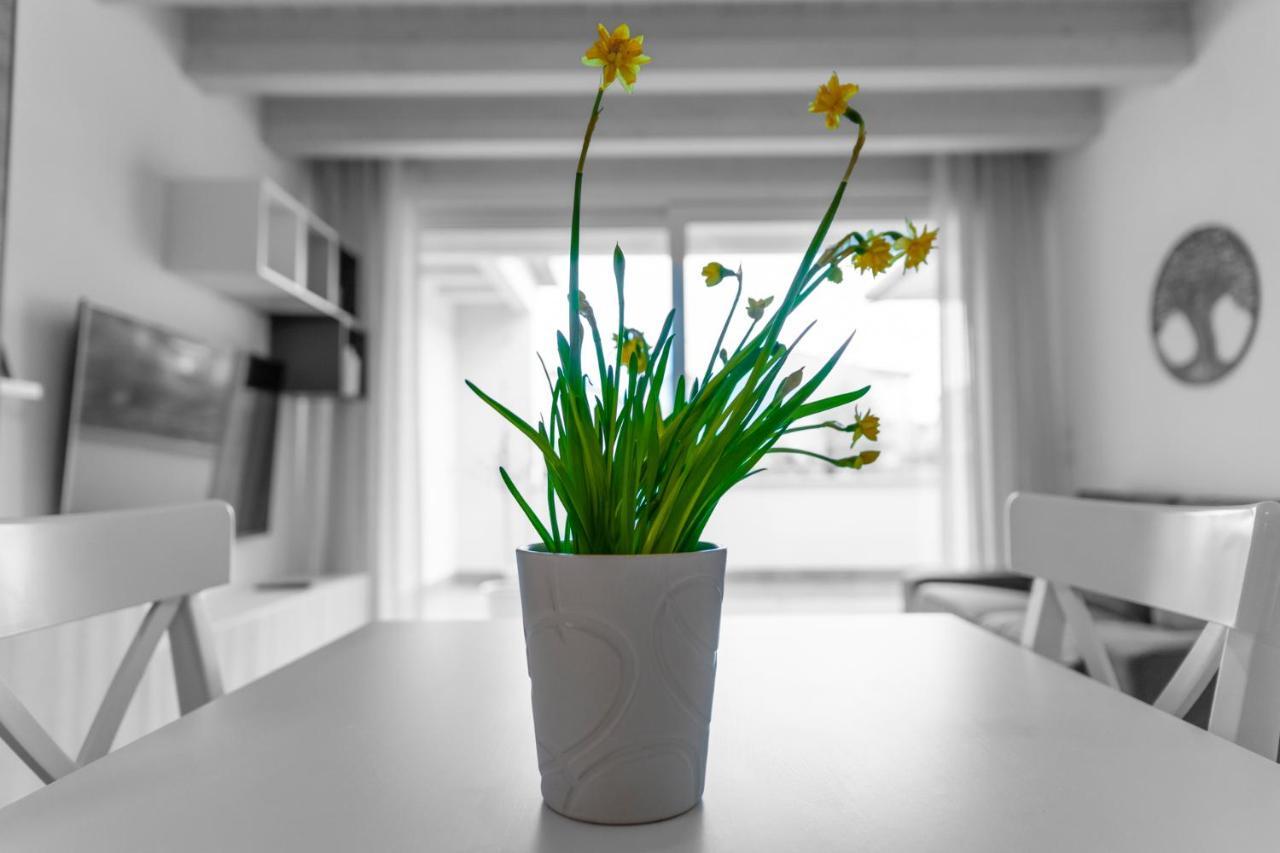 Verona Urban Apartment 외부 사진
